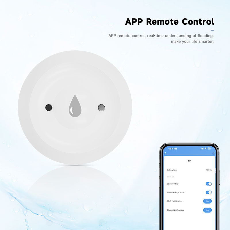 Tuya ZigBee Smart Wasserleck-S – Kitchen Appliances Video Bewertung und Preis