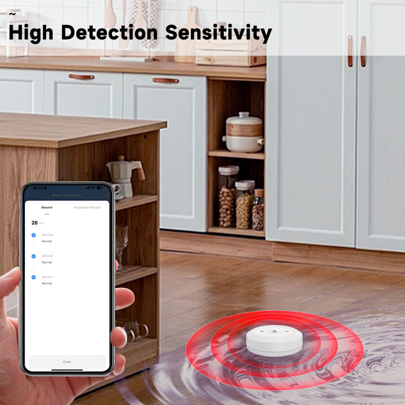 Tuya ZigBee Smart Wasserleck-S – Kitchen Appliances Video Bewertung und Preis