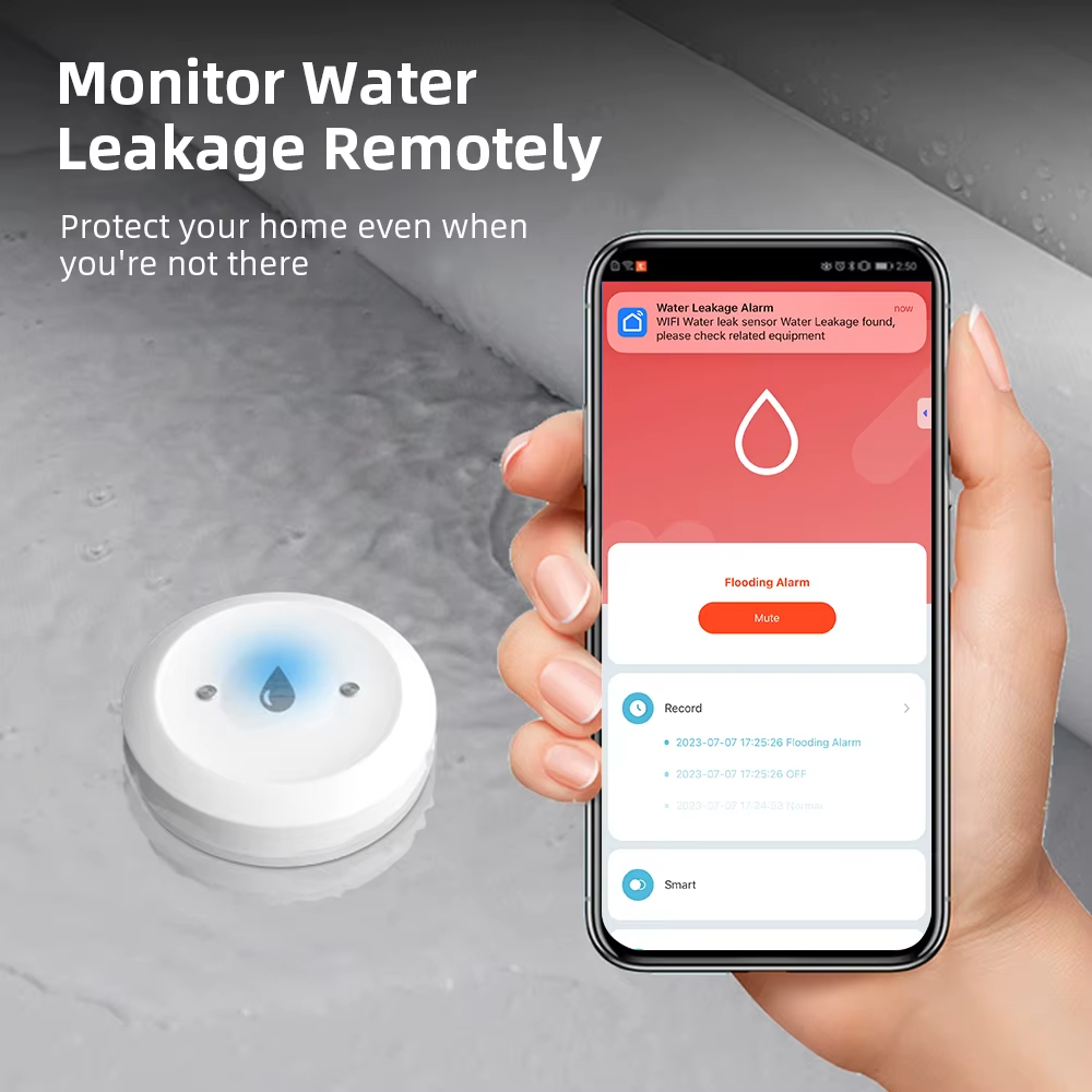 ZigBee Smart Wasserleck-Sensor – Kitchen Appliances Video Bewertung und Preis
